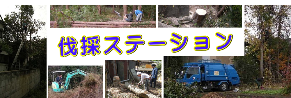 川崎市の庭木伐採、立木枝落し、草刈りを承ります。